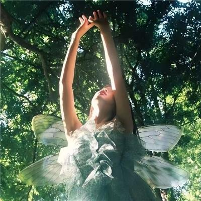 乘风破浪的父亲